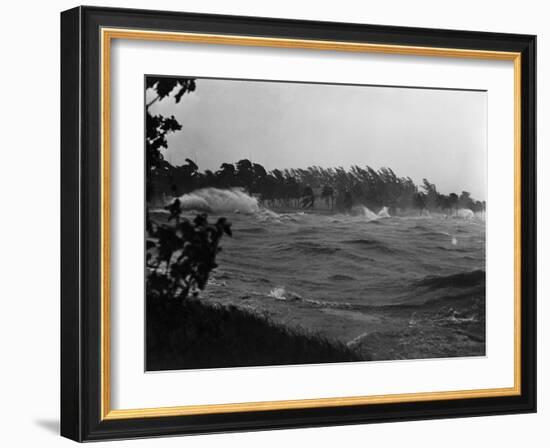 Rough Water and Blowing Palm Trees-Philip Gendreau-Framed Photographic Print