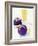 Round Aubergines and Spaghetti-Peter Medilek-Framed Photographic Print