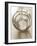 Round Biscuit Cutters-Alain Caste-Framed Photographic Print