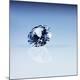 Premium Photographic Print