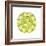 Round Frogs-Maria Trad-Framed Premium Giclee Print