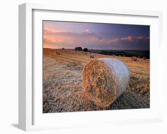 Round Straw Bales and Stormy Morning Sky, Near Bradworthy, Devon, Uk. September 2008-Ross Hoddinott-Framed Photographic Print