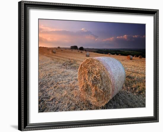 Round Straw Bales and Stormy Morning Sky, Near Bradworthy, Devon, Uk. September 2008-Ross Hoddinott-Framed Photographic Print