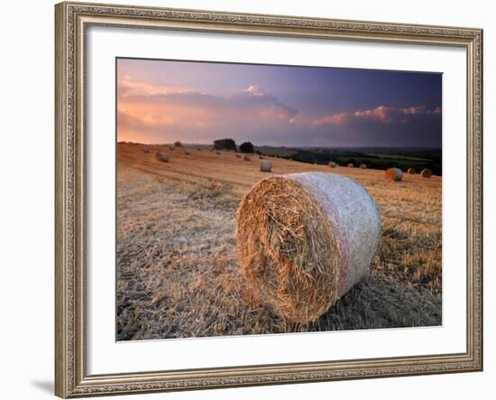 Round Straw Bales and Stormy Morning Sky, Near Bradworthy, Devon, Uk. September 2008-Ross Hoddinott-Framed Photographic Print