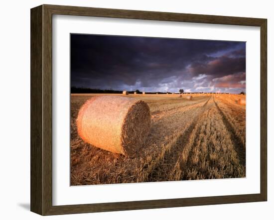 Round Straw Bales and Stormy Morning Sky, Near Bradworthy, Devon, Uk. September 2008-Ross Hoddinott-Framed Photographic Print