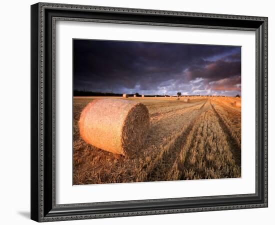 Round Straw Bales and Stormy Morning Sky, Near Bradworthy, Devon, Uk. September 2008-Ross Hoddinott-Framed Photographic Print