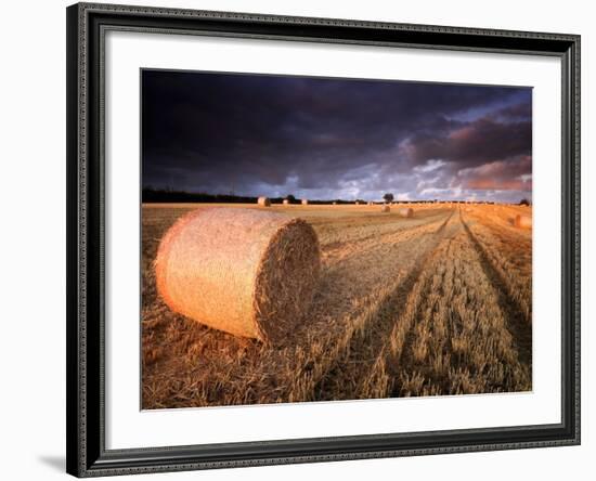 Round Straw Bales and Stormy Morning Sky, Near Bradworthy, Devon, Uk. September 2008-Ross Hoddinott-Framed Photographic Print