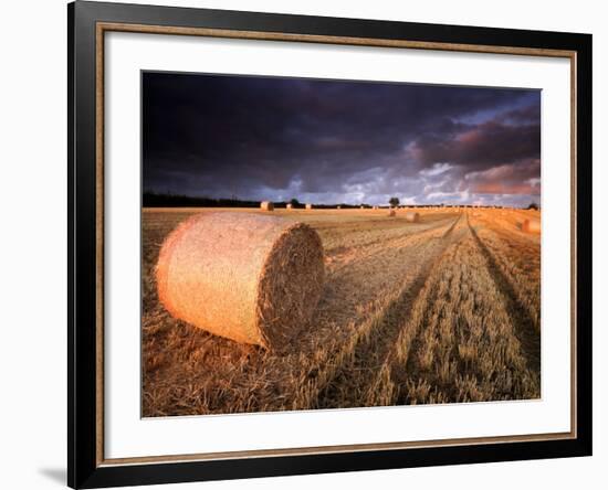 Round Straw Bales and Stormy Morning Sky, Near Bradworthy, Devon, Uk. September 2008-Ross Hoddinott-Framed Photographic Print