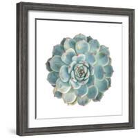Round Succulent Top Isolated on White Background-kenny001-Framed Photographic Print