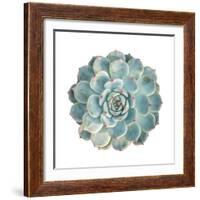 Round Succulent Top Isolated on White Background-kenny001-Framed Photographic Print