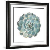 Round Succulent Top Isolated on White Background-kenny001-Framed Photographic Print