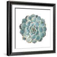 Round Succulent Top Isolated on White Background-kenny001-Framed Photographic Print