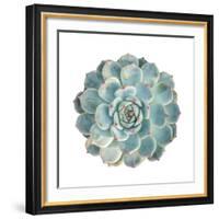 Round Succulent Top Isolated on White Background-kenny001-Framed Photographic Print