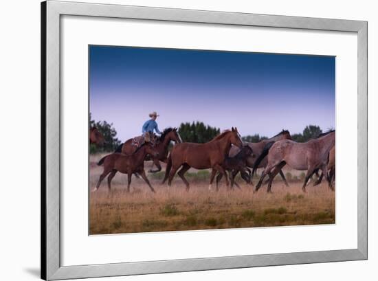 Round Up At Dawn-Steve Gadomski-Framed Photographic Print