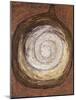 Rounded Bottle; Kurbis Flasche-Paul Klee-Mounted Giclee Print