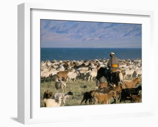 Rounding up Flocks, Uureg Nuur Lake, Uvs, Mongolia, Central Asia-Bruno Morandi-Framed Photographic Print