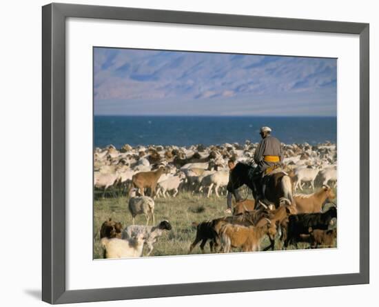 Rounding up Flocks, Uureg Nuur Lake, Uvs, Mongolia, Central Asia-Bruno Morandi-Framed Photographic Print