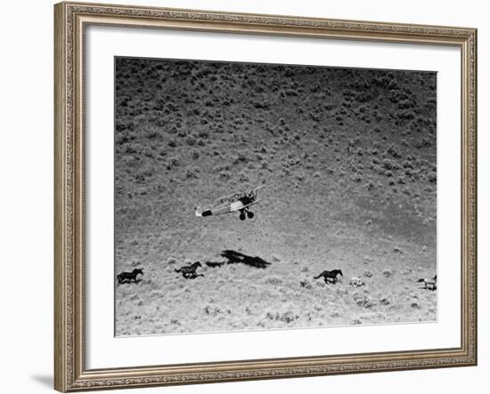 Rounding Up Wild Horses by Plane-Rex Hardy Jr.-Framed Premium Photographic Print
