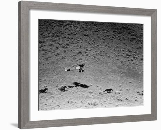 Rounding Up Wild Horses by Plane-Rex Hardy Jr.-Framed Premium Photographic Print