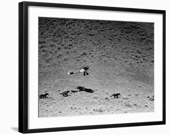 Rounding Up Wild Horses by Plane-Rex Hardy Jr.-Framed Premium Photographic Print