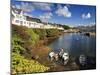 Roundstone, Connemara, County Galway, Connacht, Republic of Ireland, Europe-David Wogan-Mounted Photographic Print