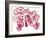 Roundworms, Light Micrograph-Steve Gschmeissner-Framed Photographic Print