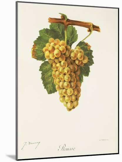 Rousse Grape-J. Troncy-Mounted Giclee Print