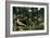 Rousseau: Dream, 1910-Henri Rousseau-Framed Giclee Print