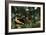 Rousseau: Dream, 1910-Henri Rousseau-Framed Giclee Print