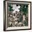 Rousseau: Jungle, 1909-Henri Rousseau-Framed Giclee Print