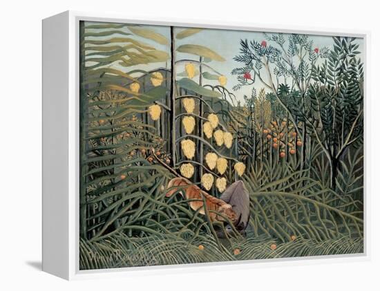 Rousseau's Jungle II-Henri Rousseau-Framed Stretched Canvas