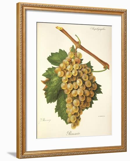 Roussee Grape-J. Troncy-Framed Giclee Print