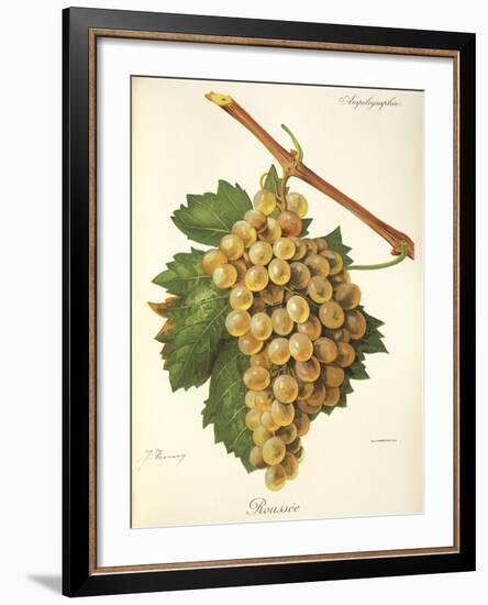 Roussee Grape-J. Troncy-Framed Giclee Print