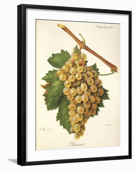 Roussee Grape-J. Troncy-Framed Giclee Print