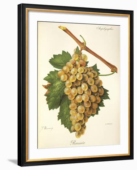 Roussee Grape-J. Troncy-Framed Giclee Print