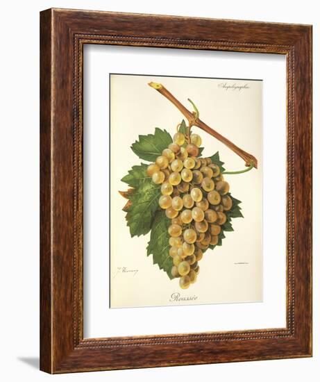 Roussee Grape-J. Troncy-Framed Giclee Print