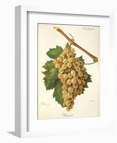 Roussee Grape-J. Troncy-Framed Giclee Print