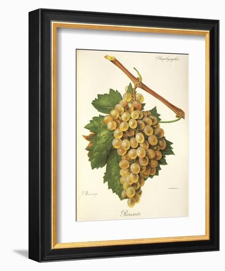 Roussee Grape-J. Troncy-Framed Giclee Print