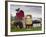 Route 1, Old Pickup Truck at Roadside Fruit Stand, Swanton, Central Coast, California, Usa-Walter Bibikow-Framed Photographic Print