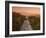 Route 110, Los Angeles, California, USA-Alan Copson-Framed Photographic Print