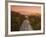 Route 110, Los Angeles, California, USA-Alan Copson-Framed Photographic Print