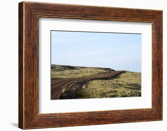 Route 612, Patreksfjšrdur, Westfjords, West Iceland-Julia Wellner-Framed Photographic Print