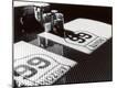 Photographic Print