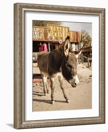 Route 66, Oatman, Arizona, USA-Julian McRoberts-Framed Photographic Print