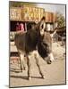 Route 66, Oatman, Arizona, USA-Julian McRoberts-Mounted Photographic Print