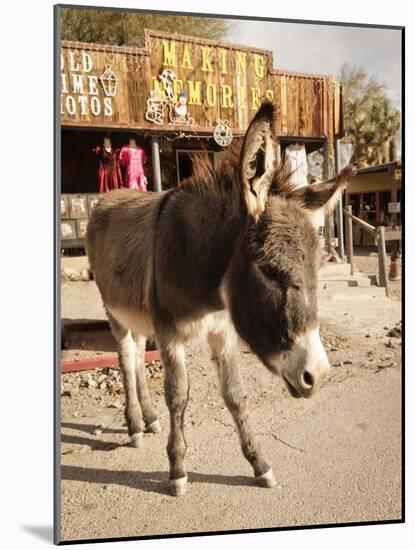 Route 66, Oatman, Arizona, USA-Julian McRoberts-Mounted Photographic Print