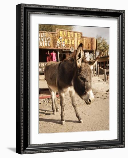 Route 66, Oatman, Arizona, USA-Julian McRoberts-Framed Photographic Print