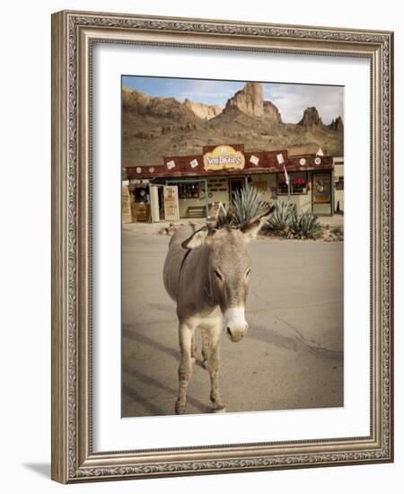 Route 66, Oatman, Arizona, USA-Julian McRoberts-Framed Photographic Print