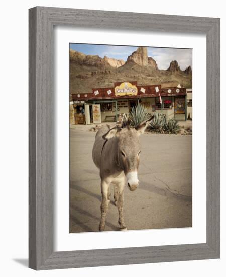 Route 66, Oatman, Arizona, USA-Julian McRoberts-Framed Photographic Print