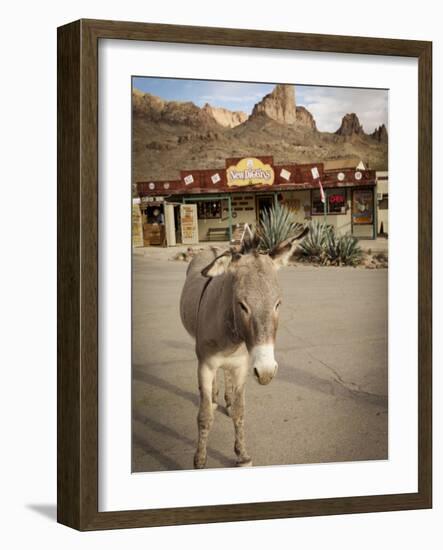 Route 66, Oatman, Arizona, USA-Julian McRoberts-Framed Photographic Print
